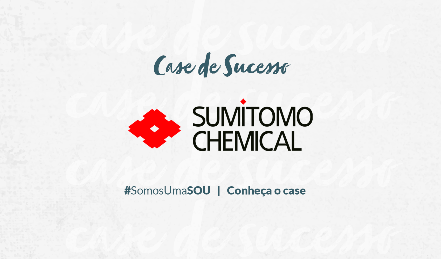 Case Sumitomo Chemical